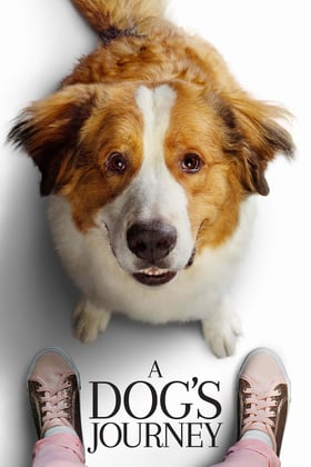 Poster for A Dog's Journey (2019)